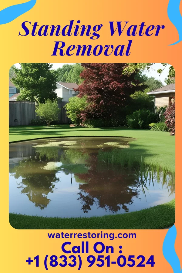 Standing Water Removal in Poolesville, MD